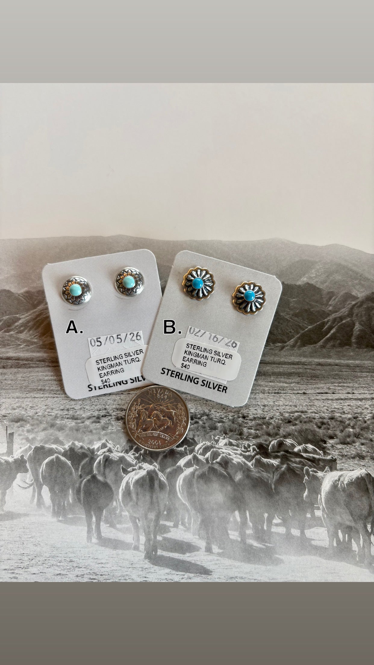 Mini Conchos